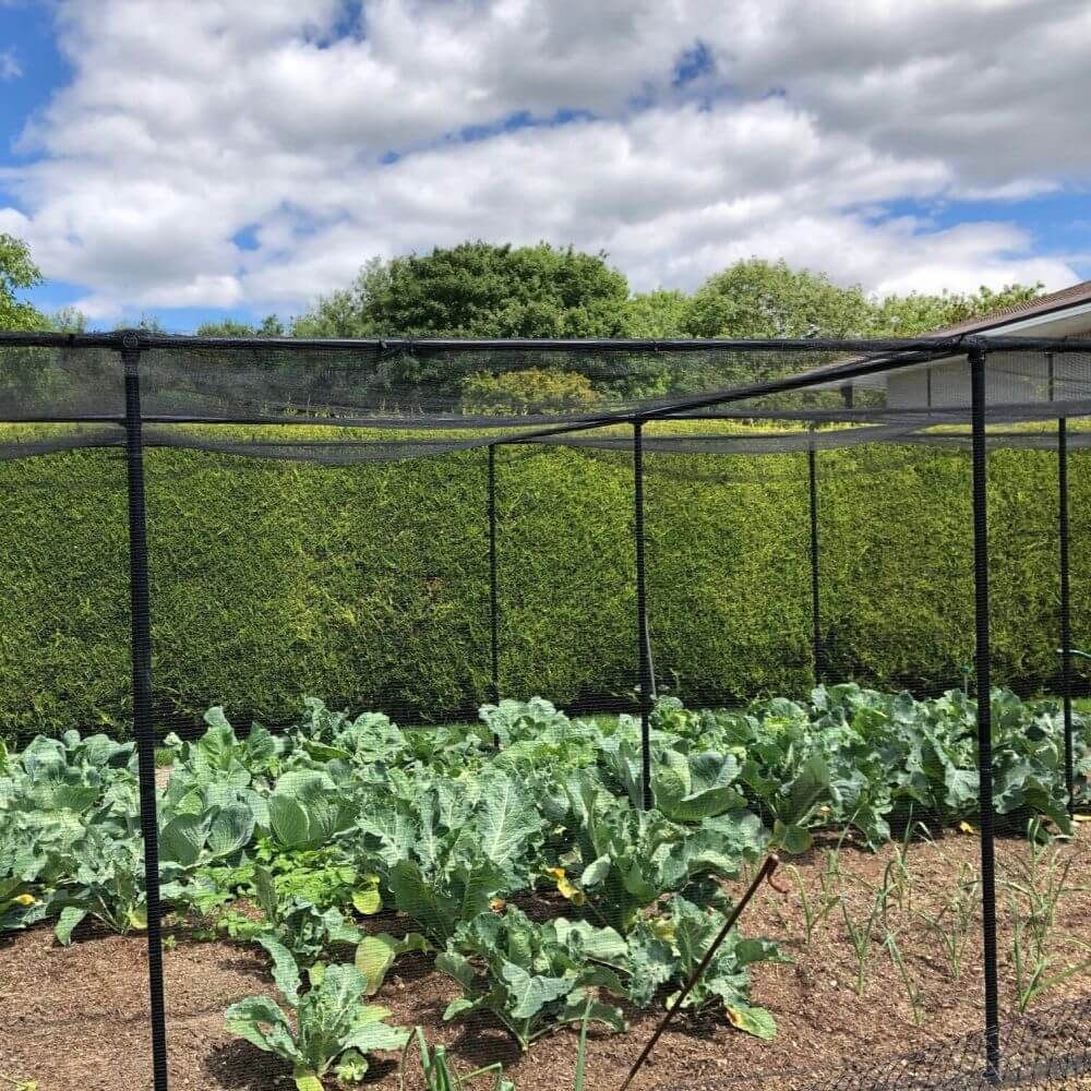 Vegetable Garden Fence Nets Wind Protection For Plants: 10 Tips To