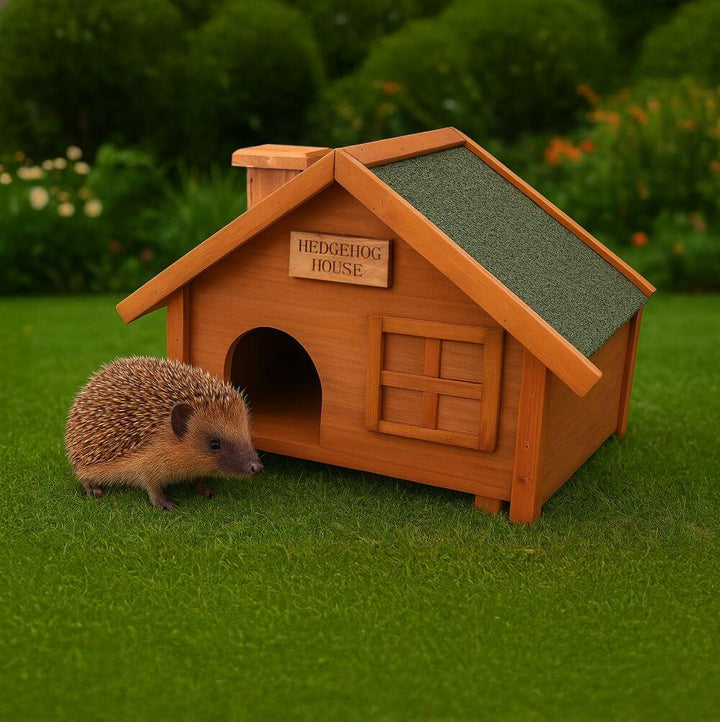 wooden hedgehog house with hedgehog near door