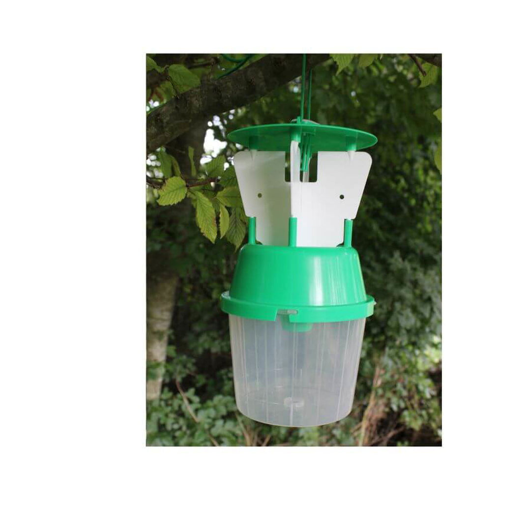 Raspberry Beetle Trap - Garden Netting