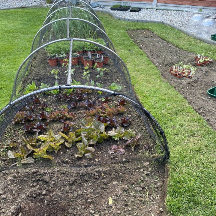 Round-Aluminium-Hoops-Over-Plants