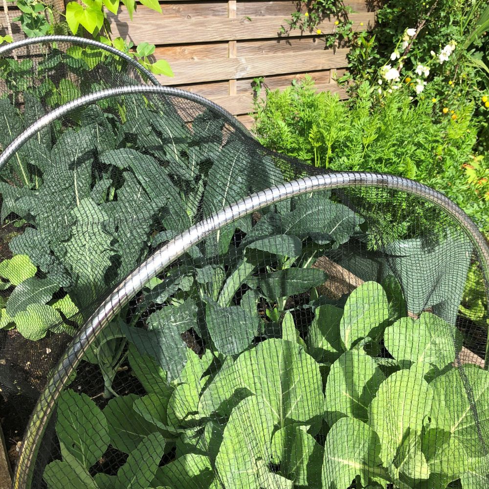 round aluminium hoops with netting