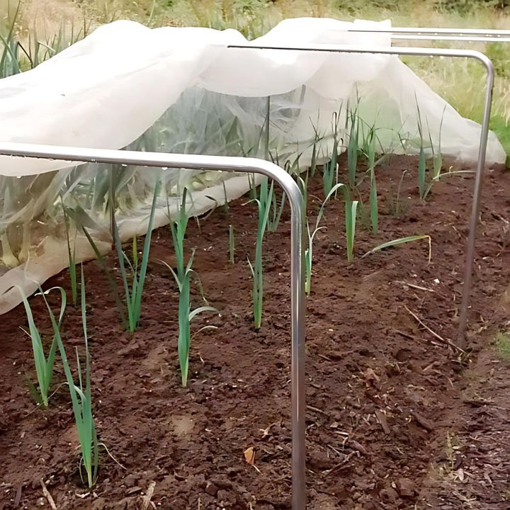 Square-Aluminum-Hoops-over-Plants