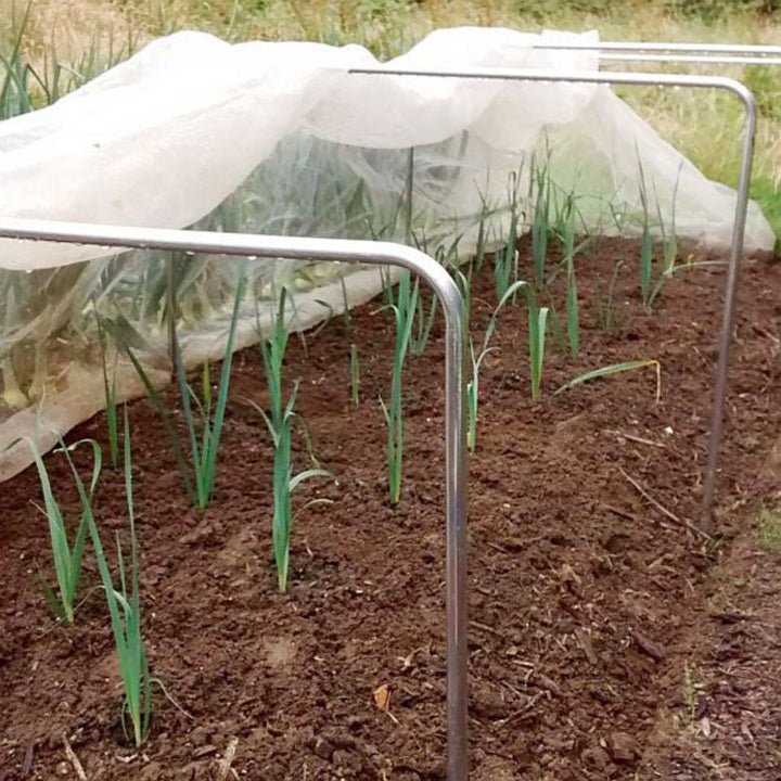 Square garden hoops over onions with a crop cover
