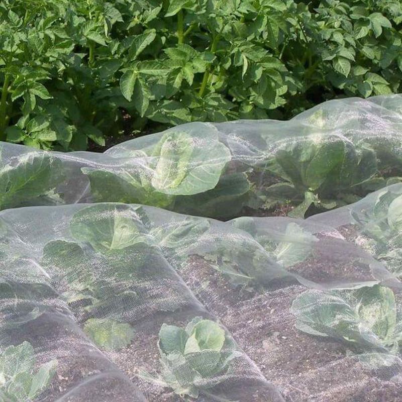Veggiemesh Insect Mesh Netting - Garden Netting
