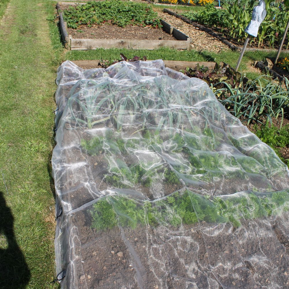 veggiemesh on crops in an allotment