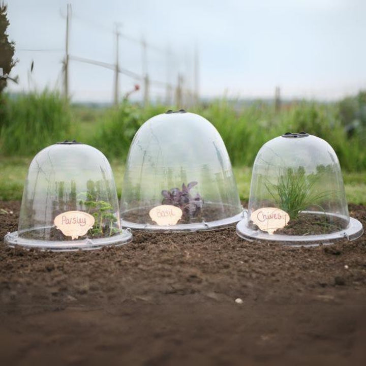 Victorian Baby cloches