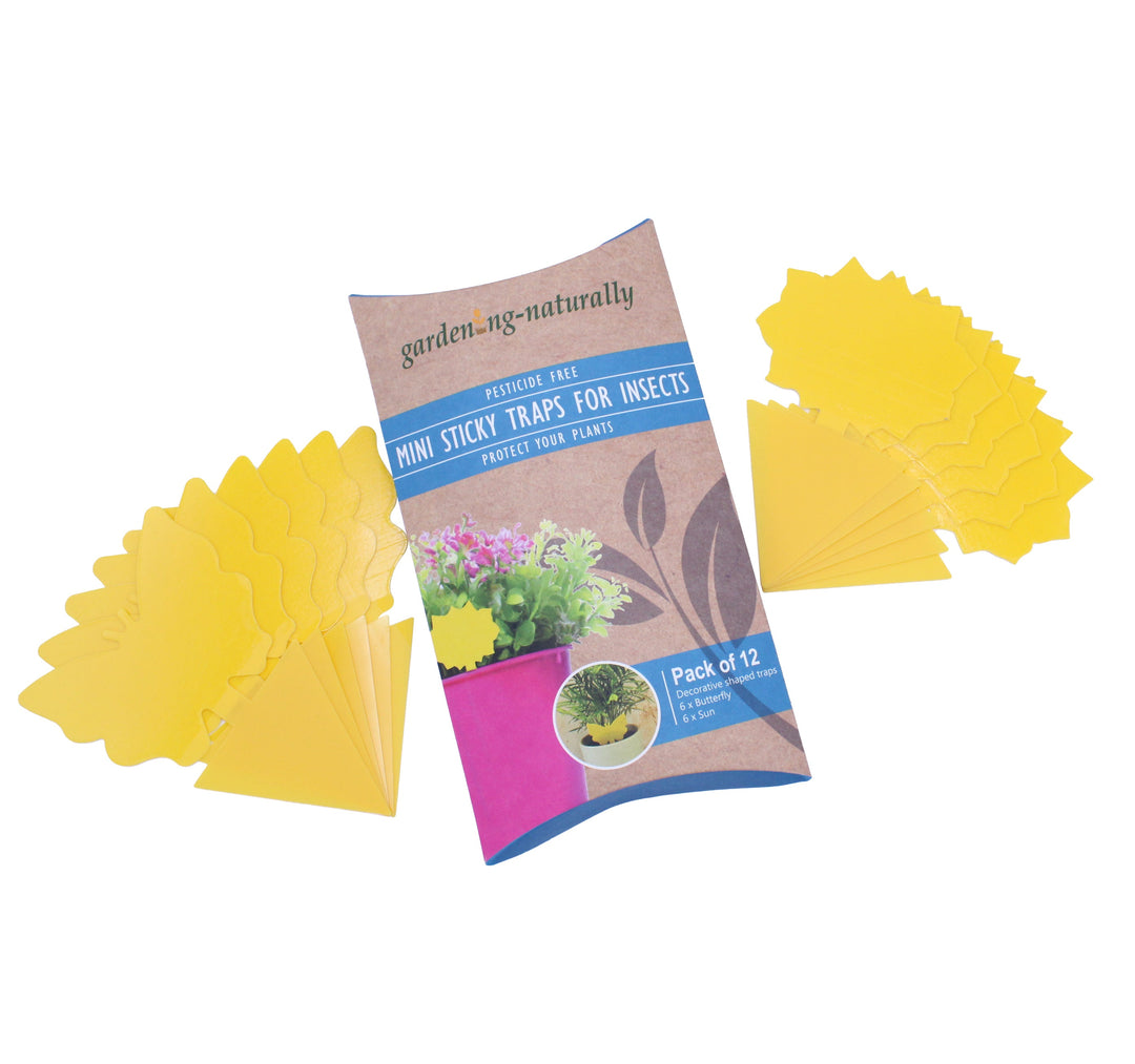 Pack of mini sticky traps for insects with packaging on a white background