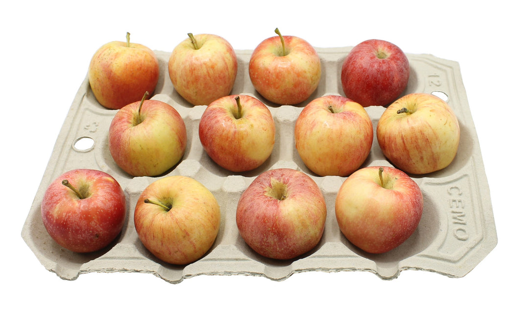 A group of twelve red apples placed in a beige, molded fiber apple tray.