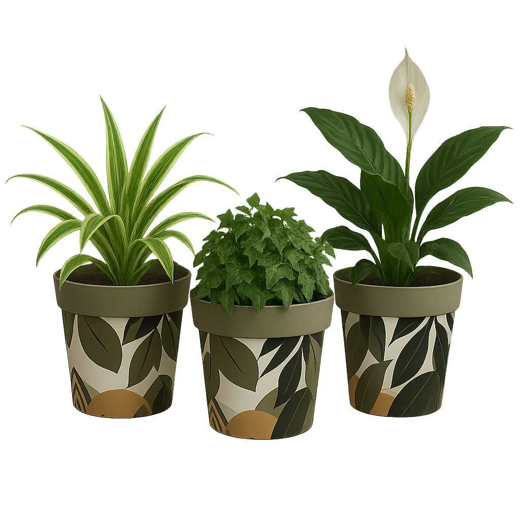 green leaf 3 plant pots