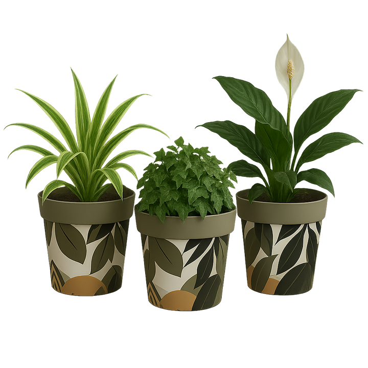 green leaf 3 plant pots