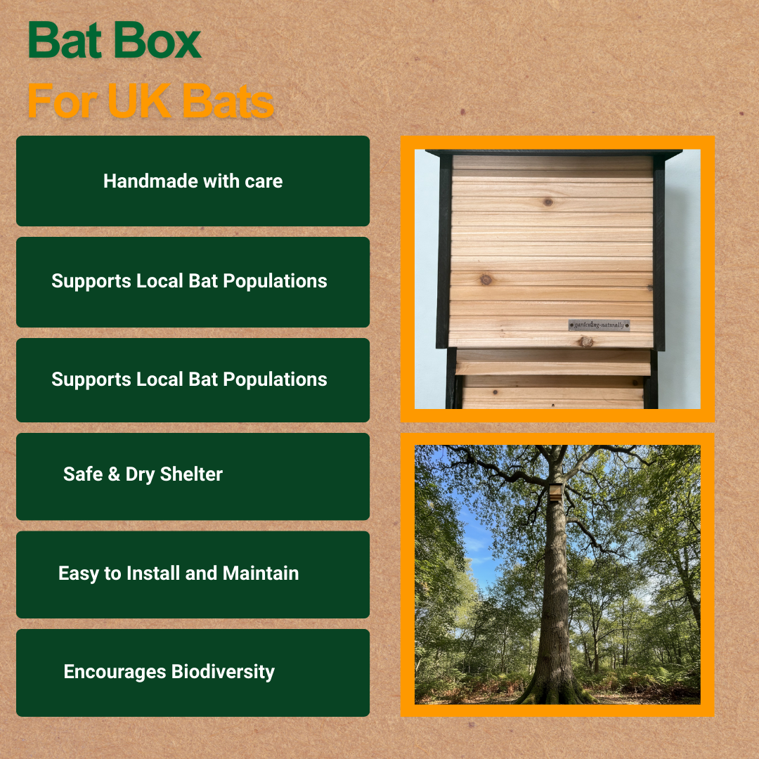 benefits of bat box listed and two pictures of bat boxes