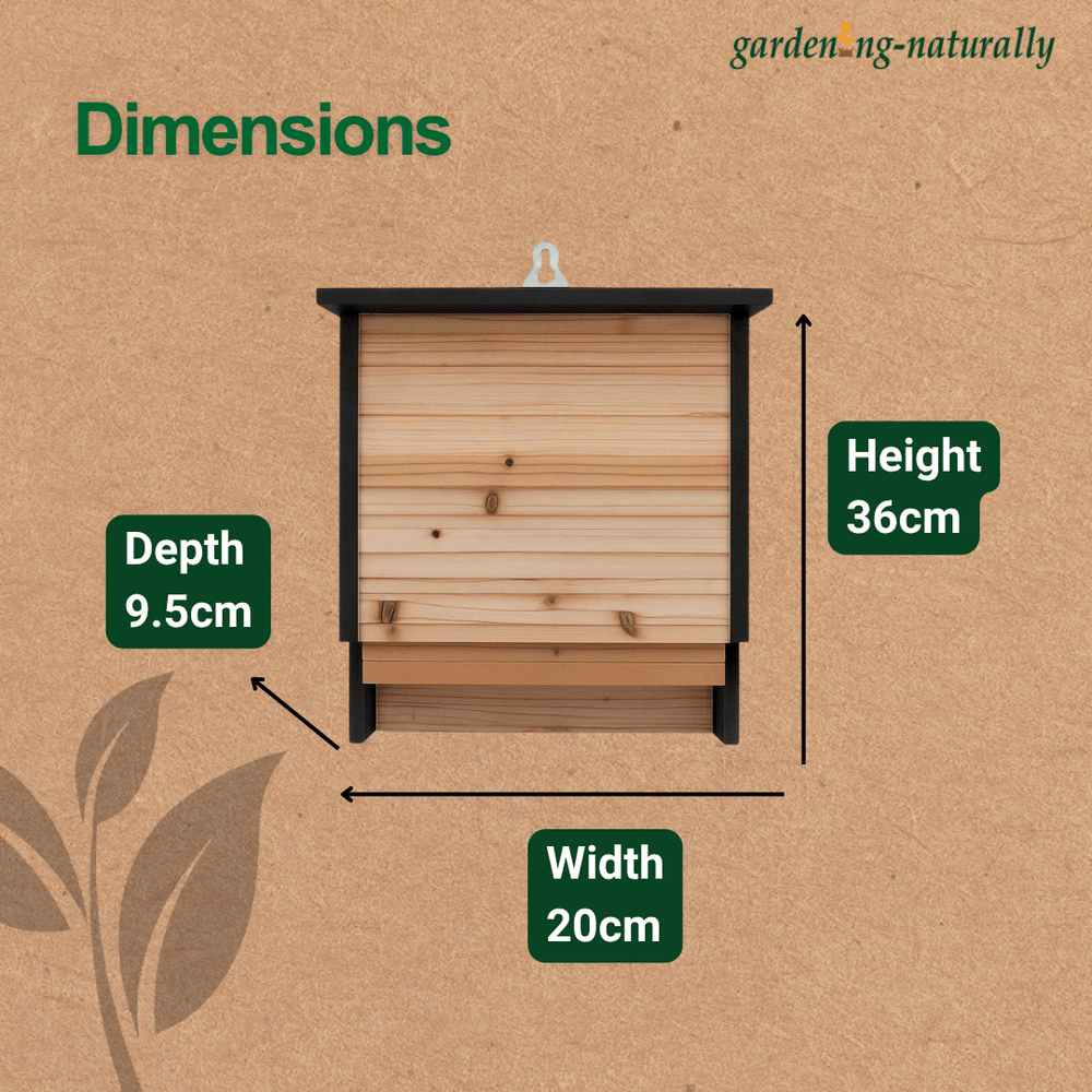 bat box dimensions