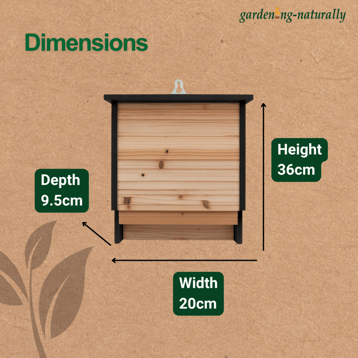 bat box dimensions