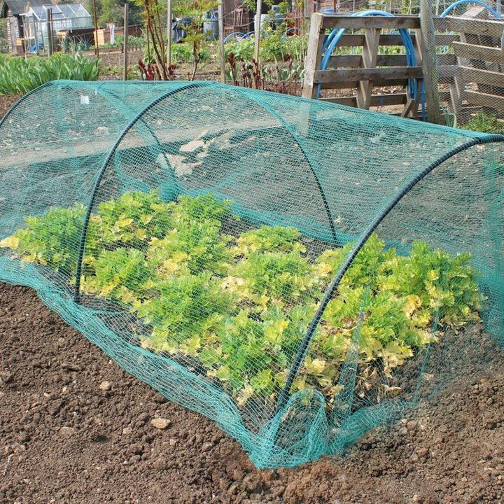 Black flexible garden netting tunnel with green butterfly netting