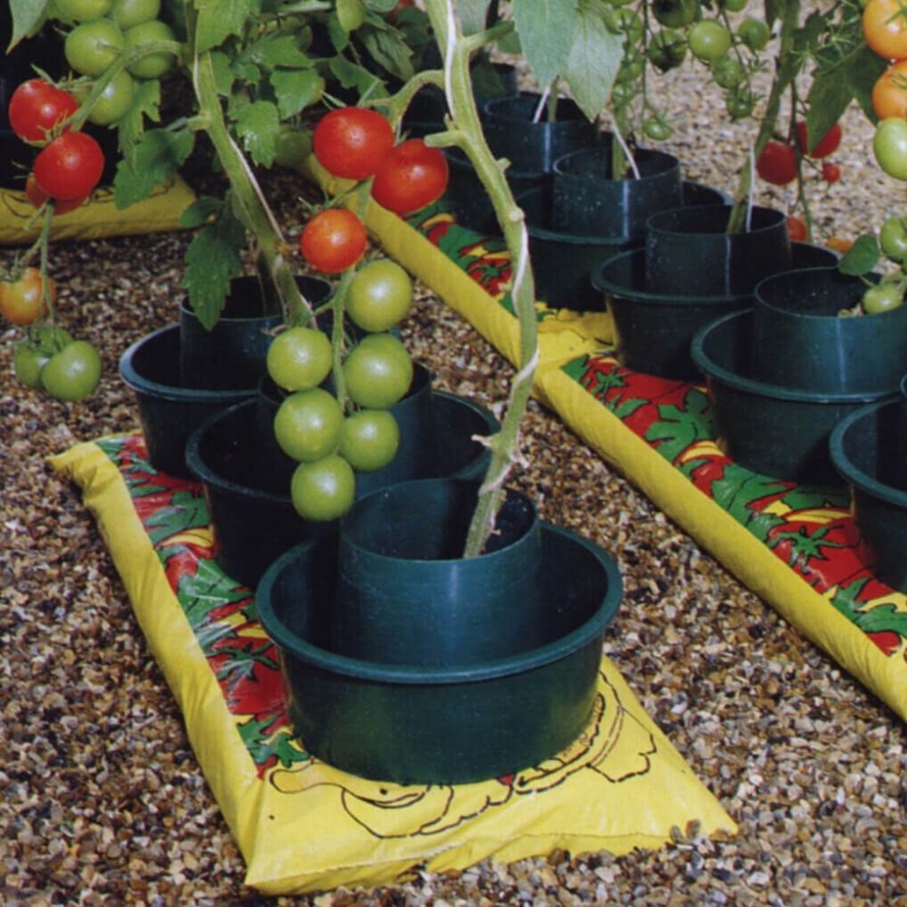 tomato plant pots uk GrowPots