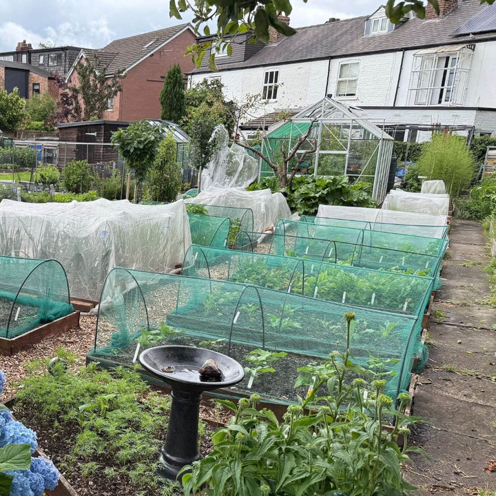 Black modular hoops covered with green butterfly netting and veggiemesh