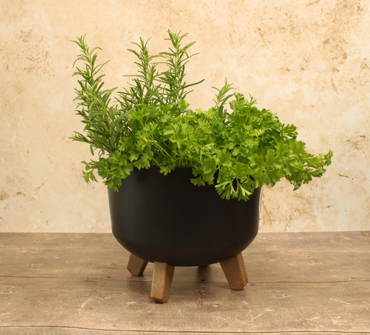 A black round indoor/outdoor plant pot with wooden-looking legs and a green plant inside, placed on a wooden surface.