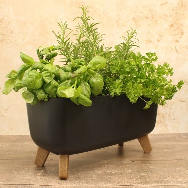 A black trough-style plant pot with wooden legs, containing various plants 