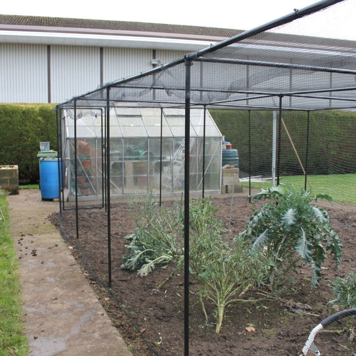 Premium Fruit Cages with No Netting