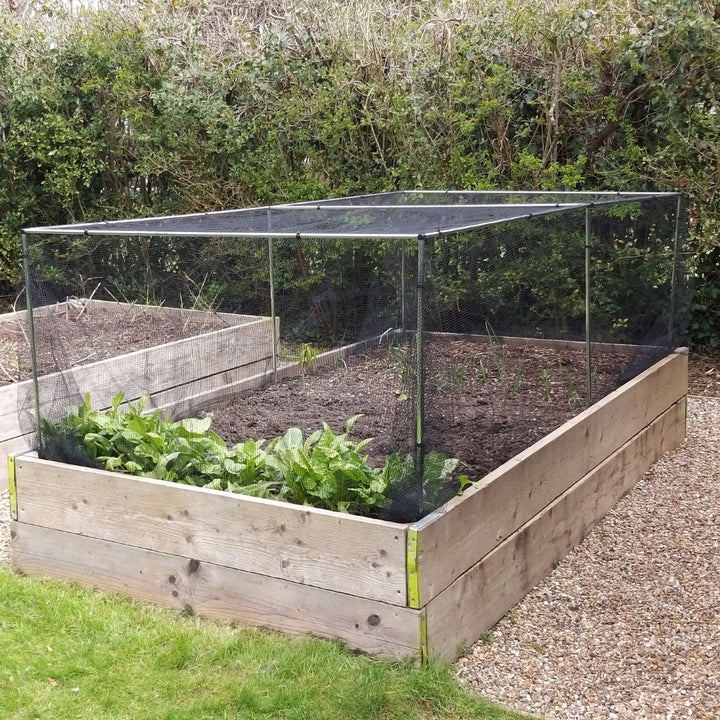 Low Fruit and Vegetable Cage with No Netting [1]