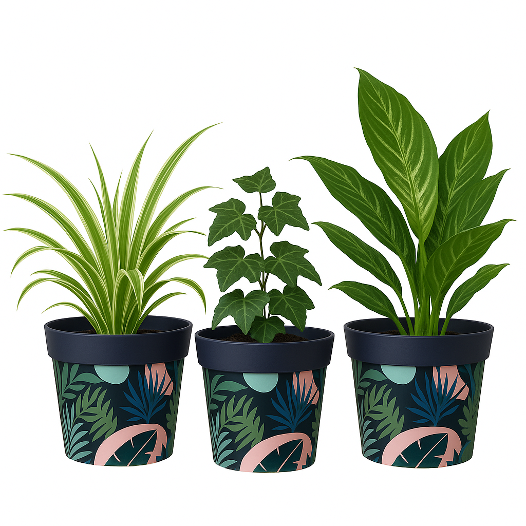Blue and Pink Plant Pots pack 3