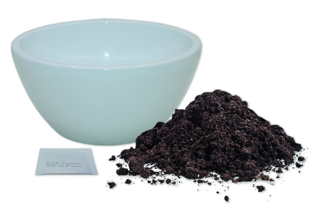 bonsai kit as components with seeds and soil