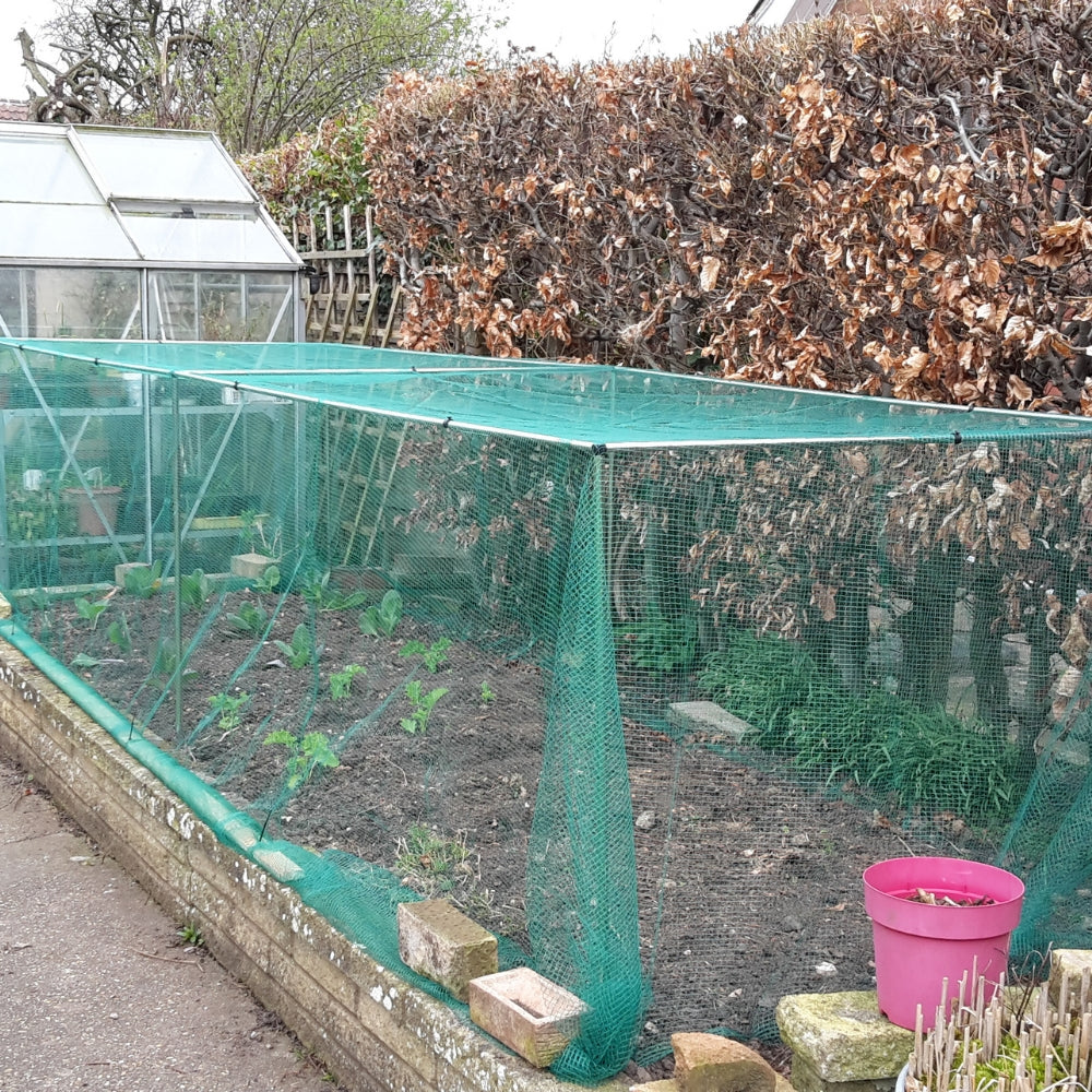 A low green cage with butterfly netting installed in a garden, surrounding a area with several plants.