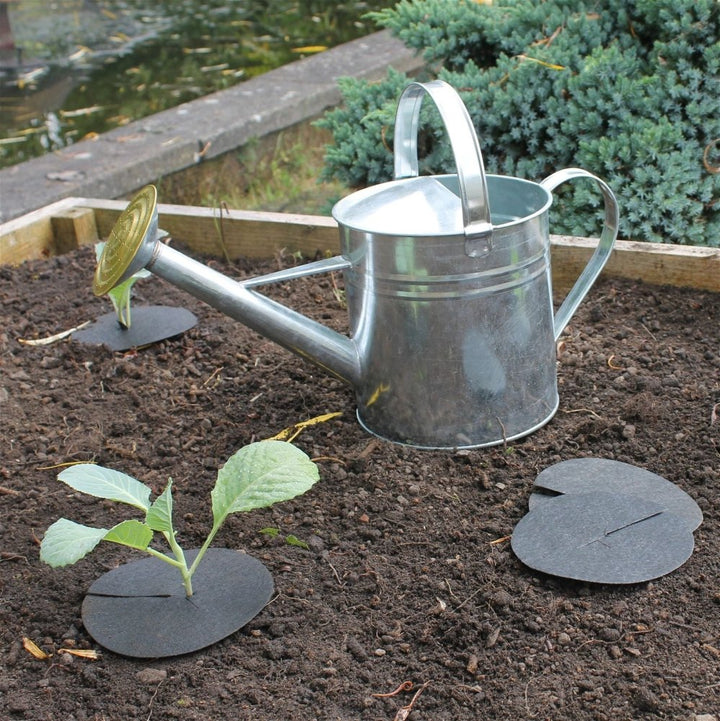 Cabbage Collars - Garden Netting