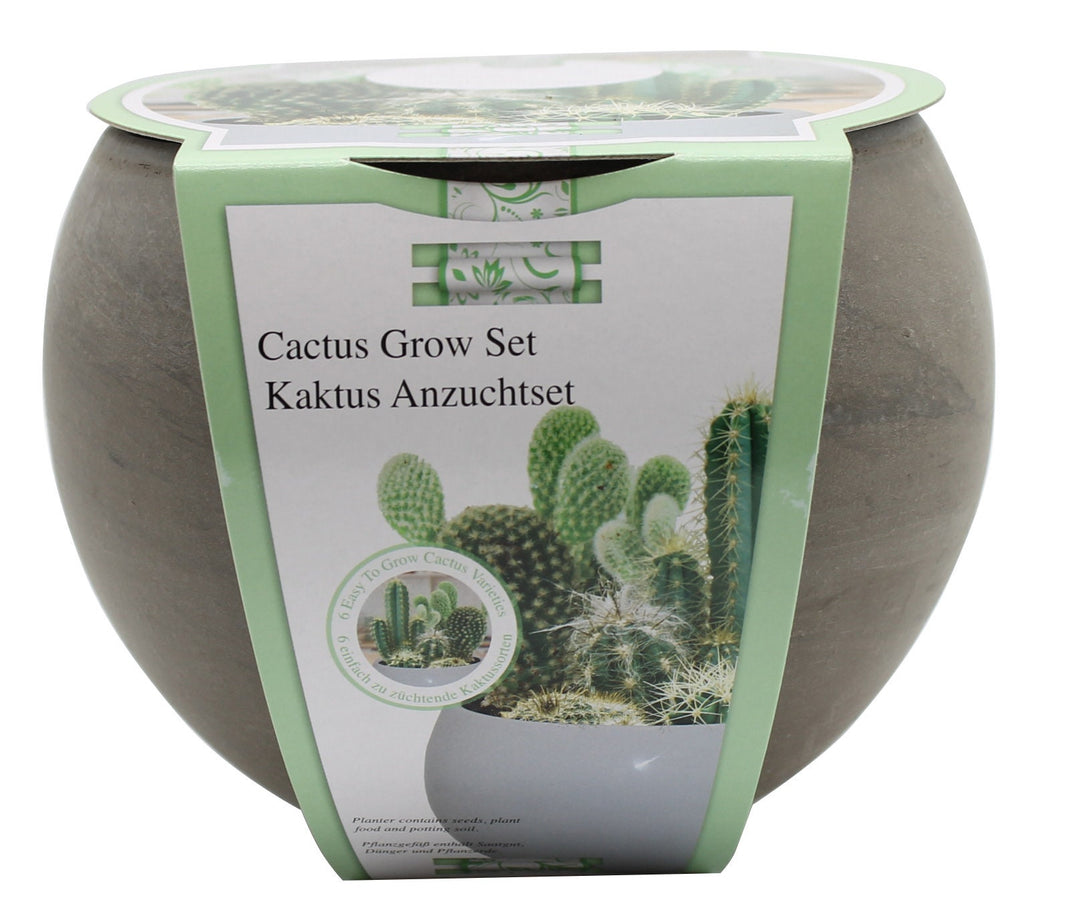 cactus grow set great for gifting