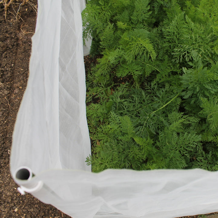 carrot-fence-netting