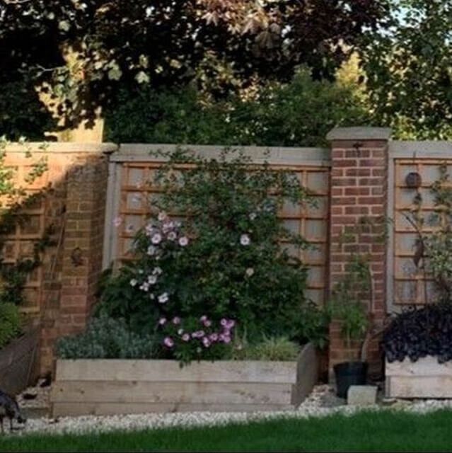 Cedar Raised Beds - Garden Netting