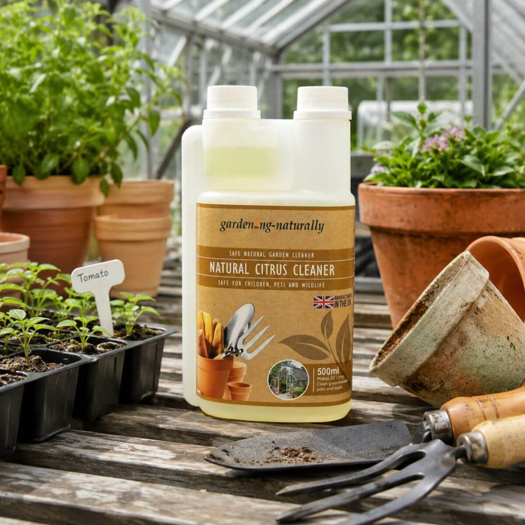 Natural Citrus Cleaner bottle on a garden workbench with plants.