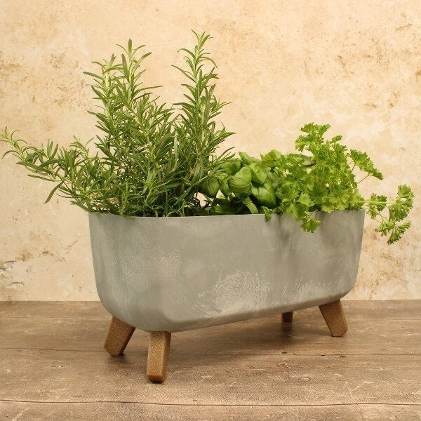 A gray, concrete trough-style plant pot with wooden legs, containing various plants