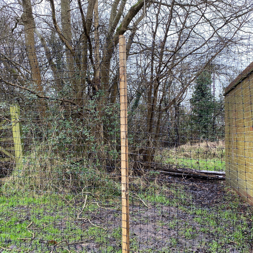 A deer fence with wooden post with net in a muddy backyard.
