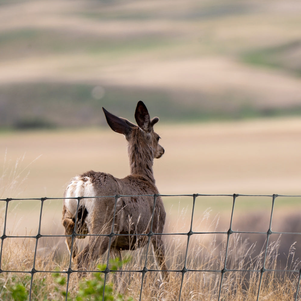 Deer Netting