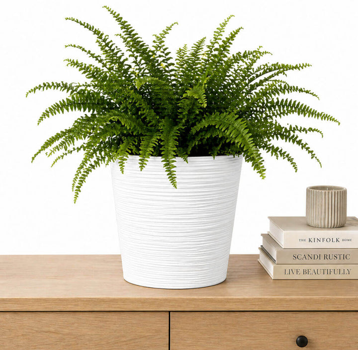 Sustainable Recycled Round Planters (9 Litres)