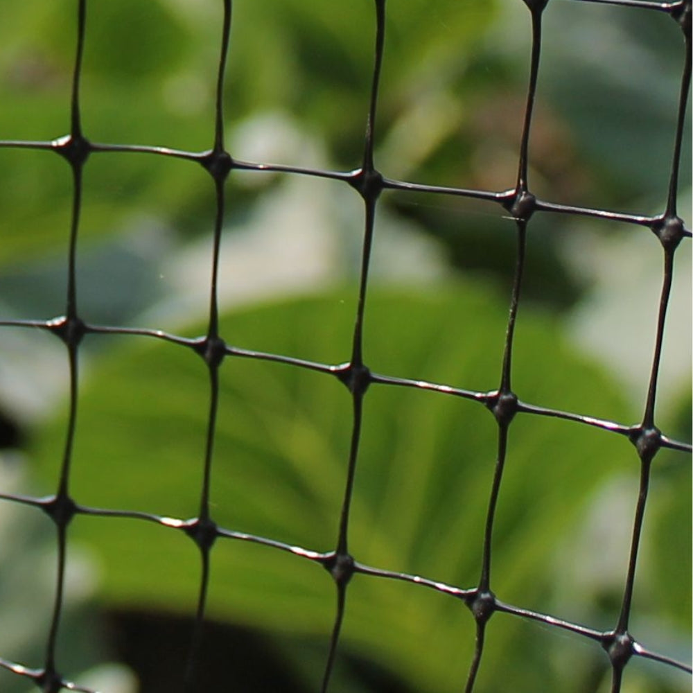 fruit-cage-netting-close-up