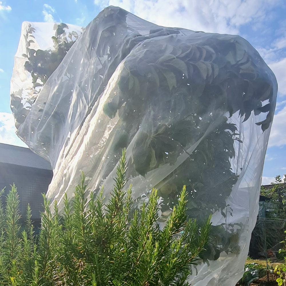 Fruit Tree Netting Customize Width:1~30m 60Mesh Bird Plant Barrier