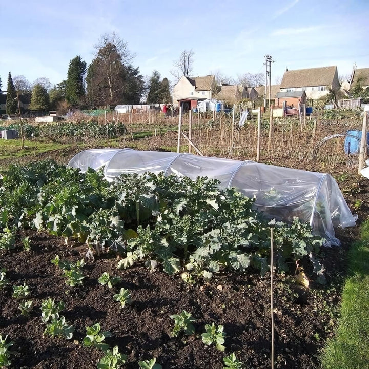 garden-polythene