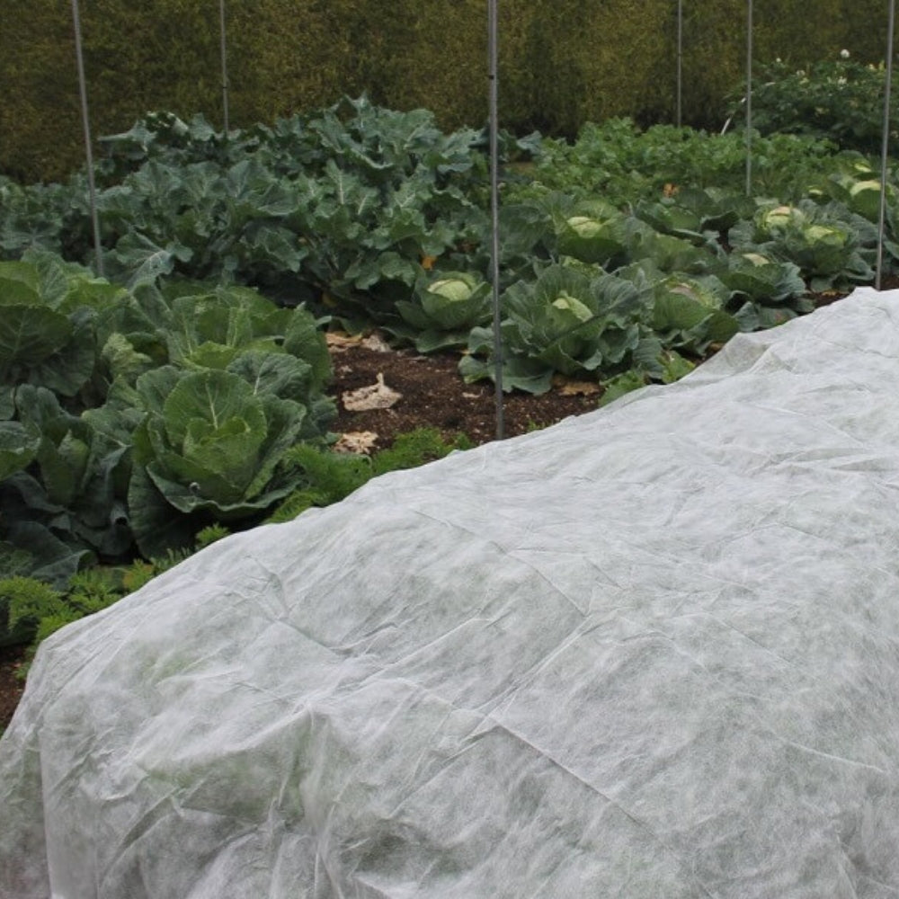 garden fleece on vegetables