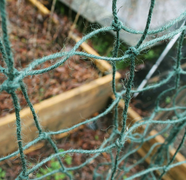 Jute Pea and Bean Netting