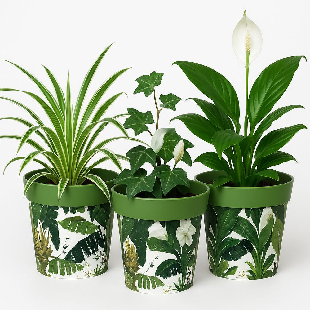 green unique Small Flower Pots