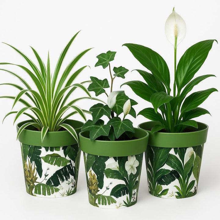 green unique Small Flower Pots