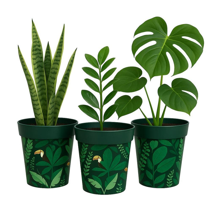 Vintage plant pots with plants