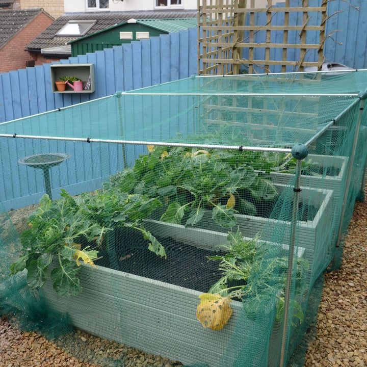 Low Fruit and Vegetable Cage with No Netting [7]