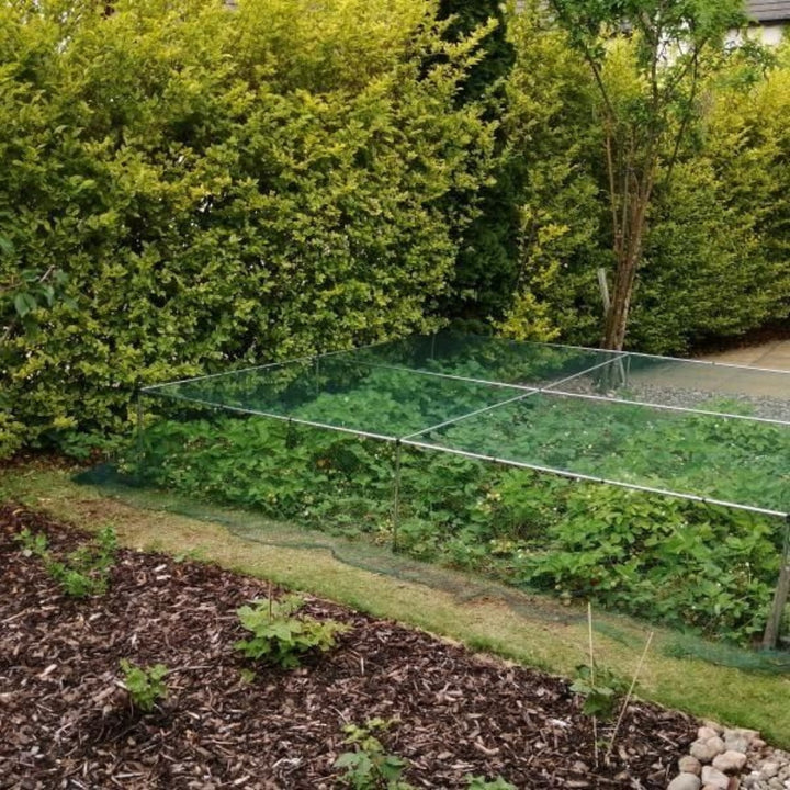 green bird netting