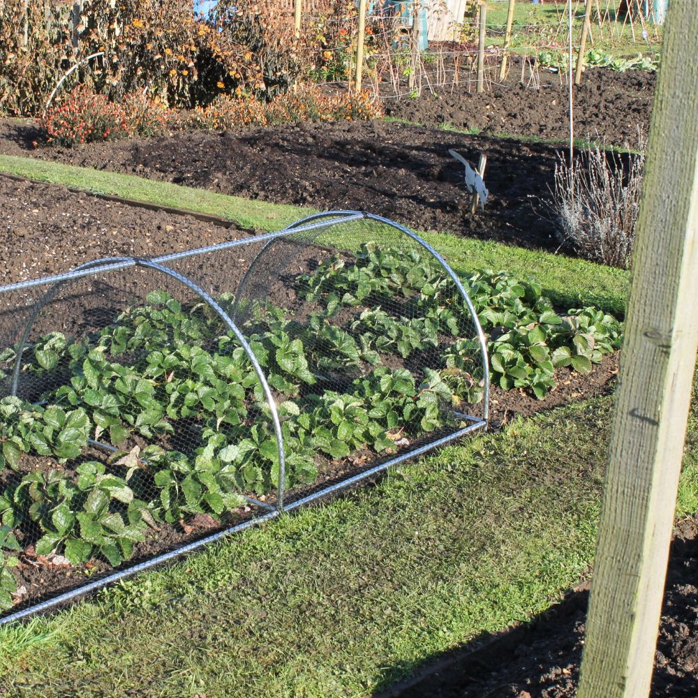 Hooped Tunnels - Round Hoops - Garden Netting