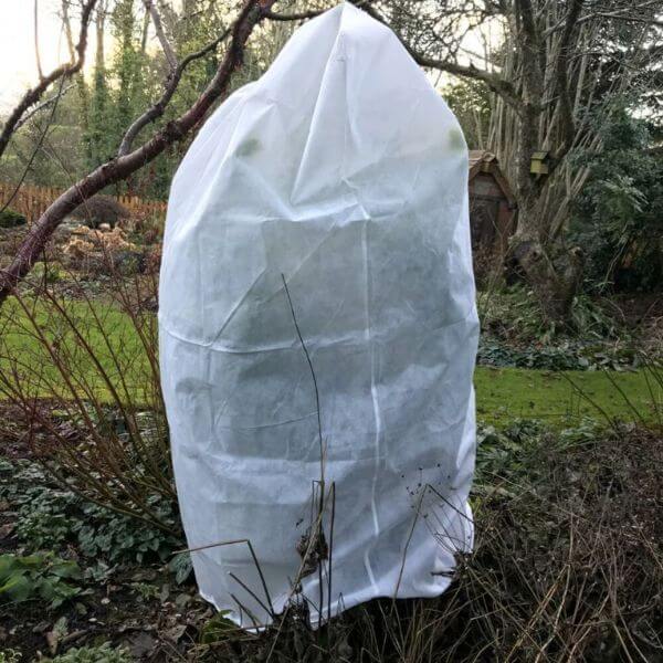 White protective cover on a tree in a garden setting