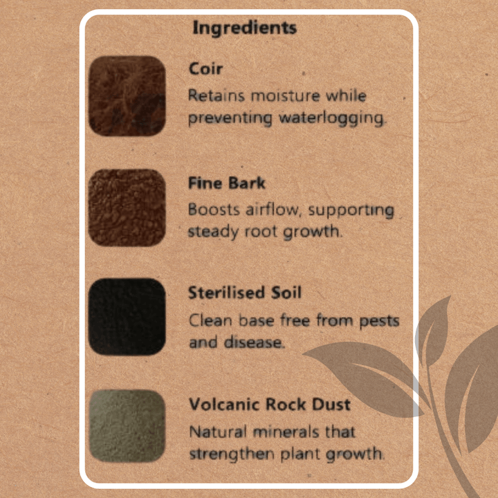 ingredients of houseplant compost including coir, fine bark, sterilised soil and volcanic rock dust and thumbnails of those soil types