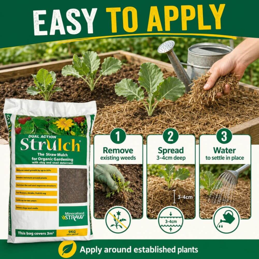 Strulch Dual Action Straw Mulch bag shown in a gardening scene.